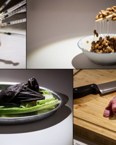 Disgusting Food Museum'da yer alan bazı yemekler